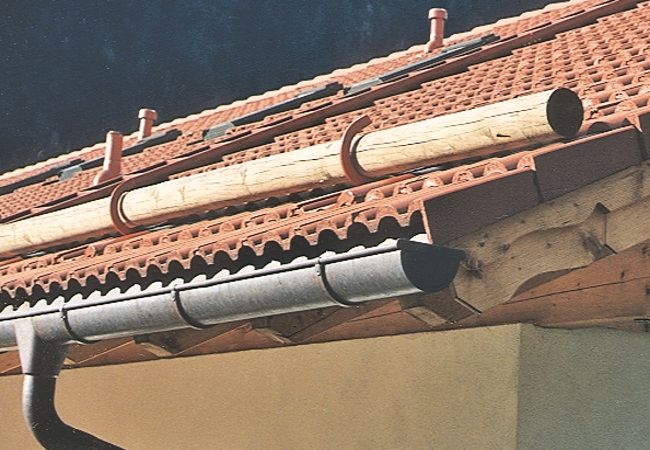 Schneefangstangen